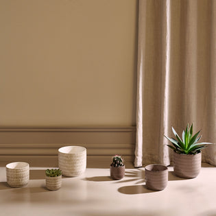  Modern Beige