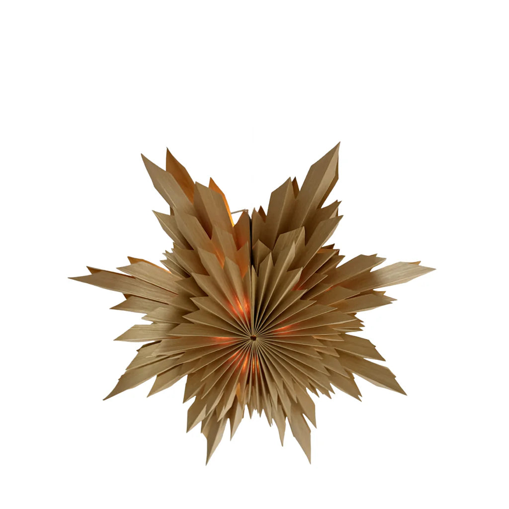 Astra Papierstern mit LED D40