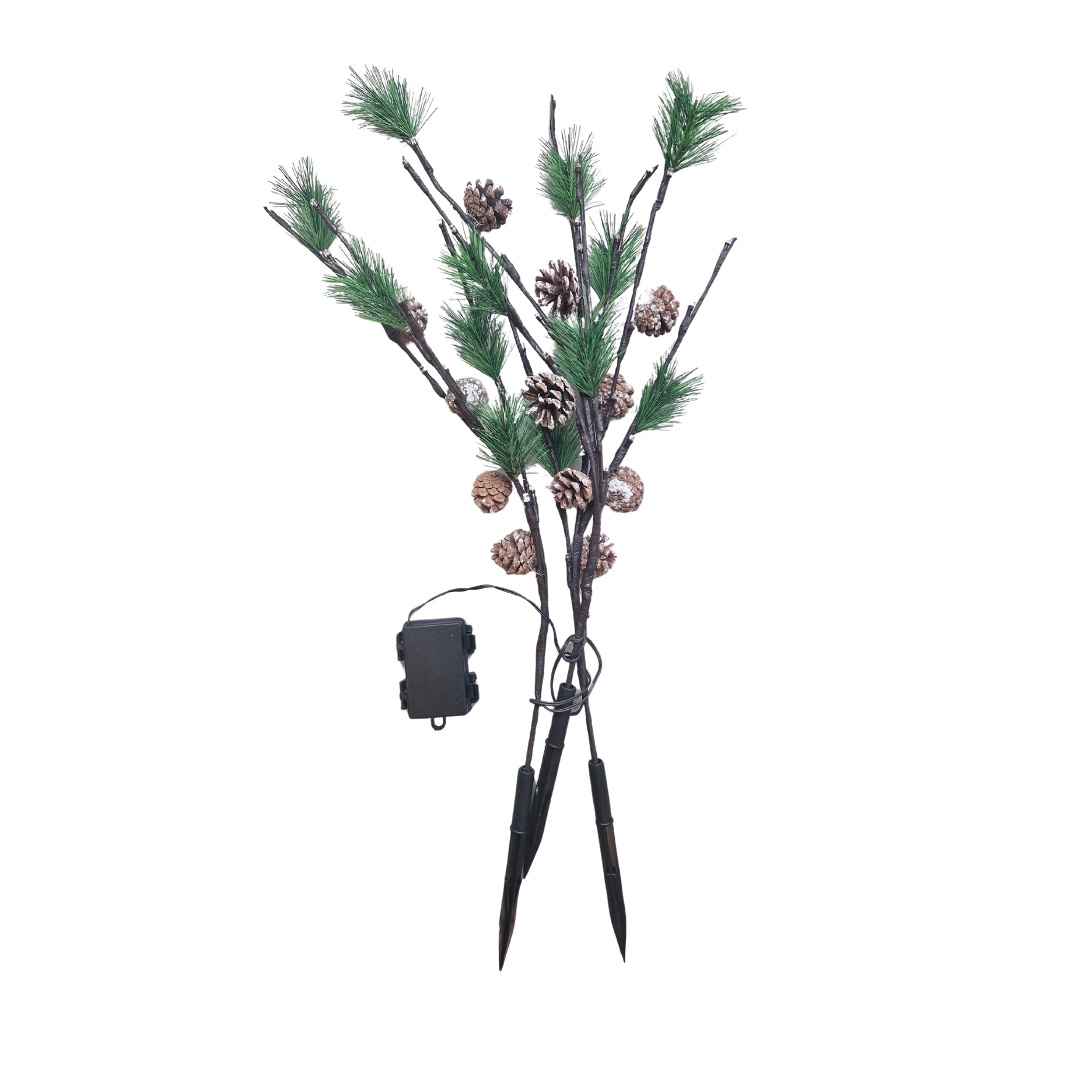 Pignella Zweige mit LED