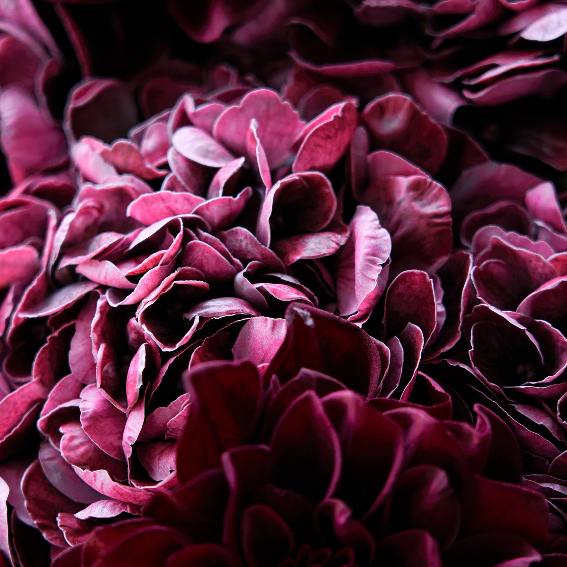 Künstliche Hortensie - Real Touch