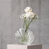 Kida Vase Transparent