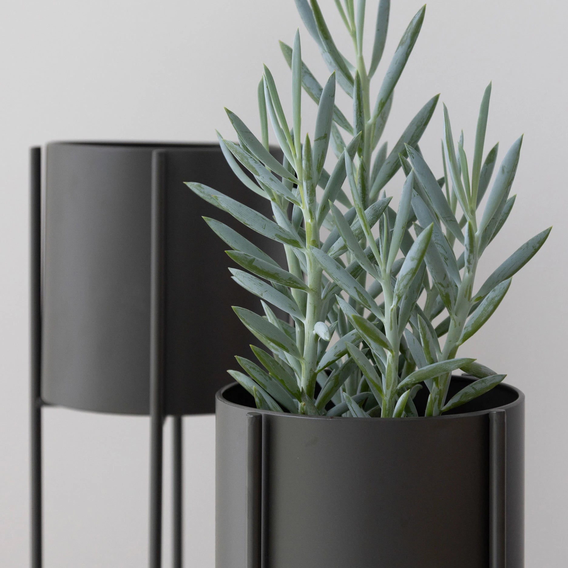 Viola Blumentopfständer H 75 cm Grau