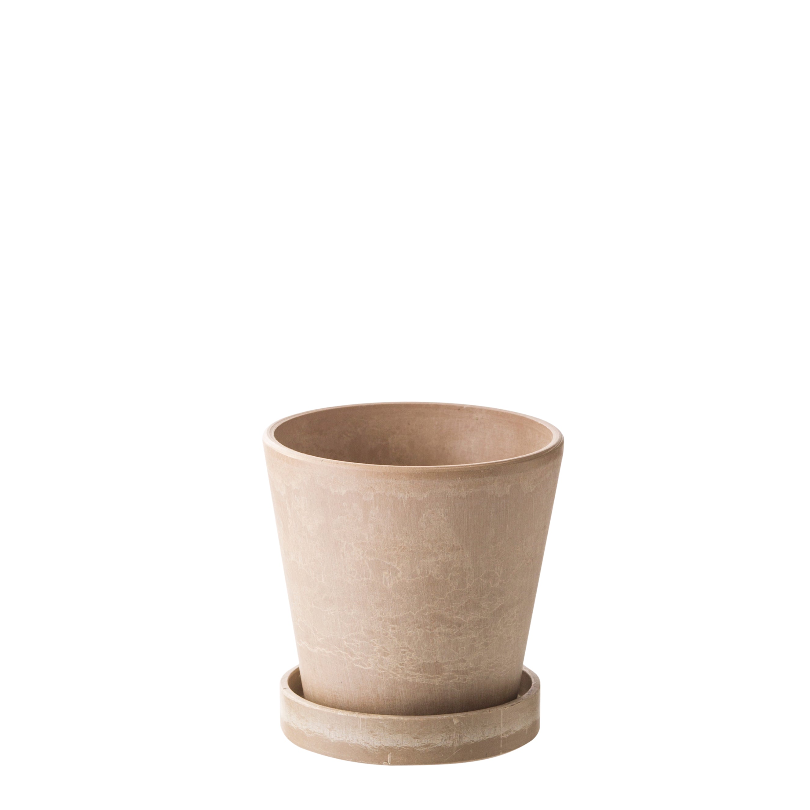 Scilla Blumentopf H6,2 cm