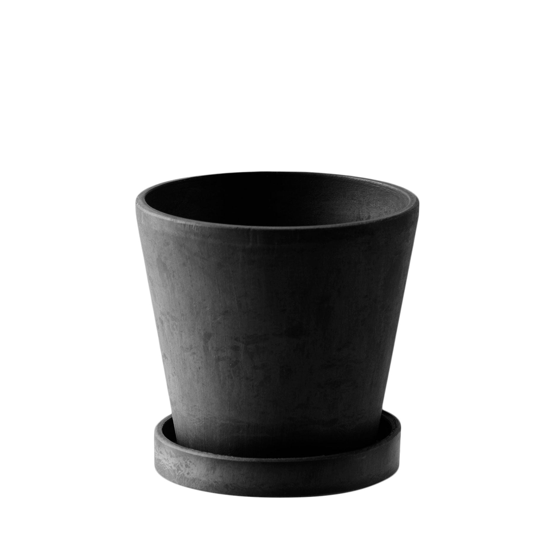 Scilla Blumentopf H6,2 cm