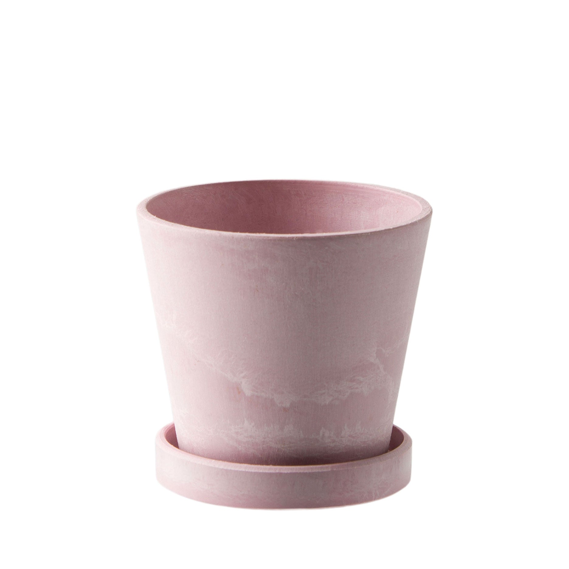 Scilla Blumentopf H6,2 cm