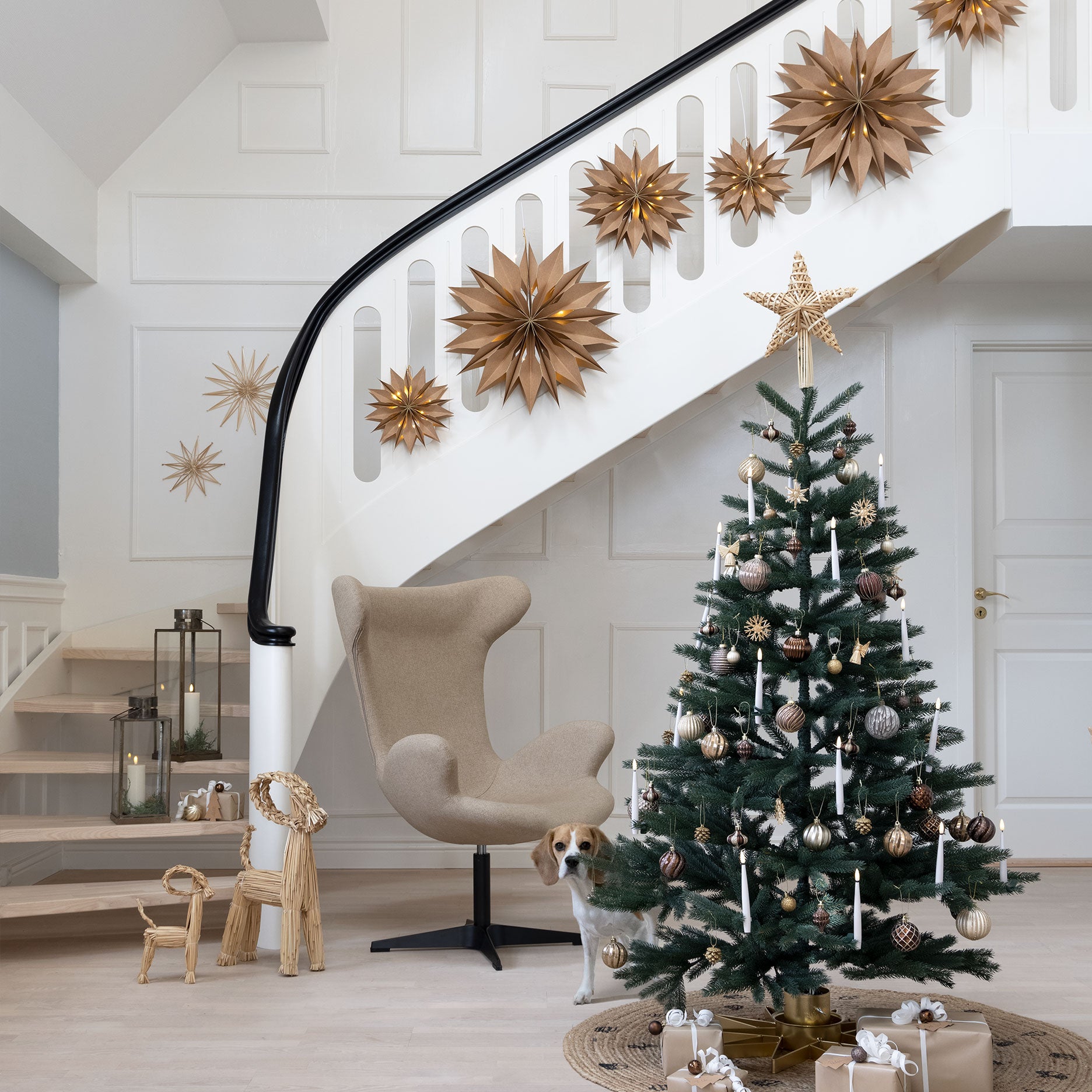 Papierstern mit Beleuchtung