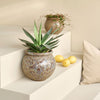 Cille Blumentopf