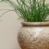 Cille Blumentopf