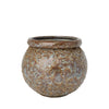 Cille Blumentopf