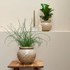 Cille Blumentopf