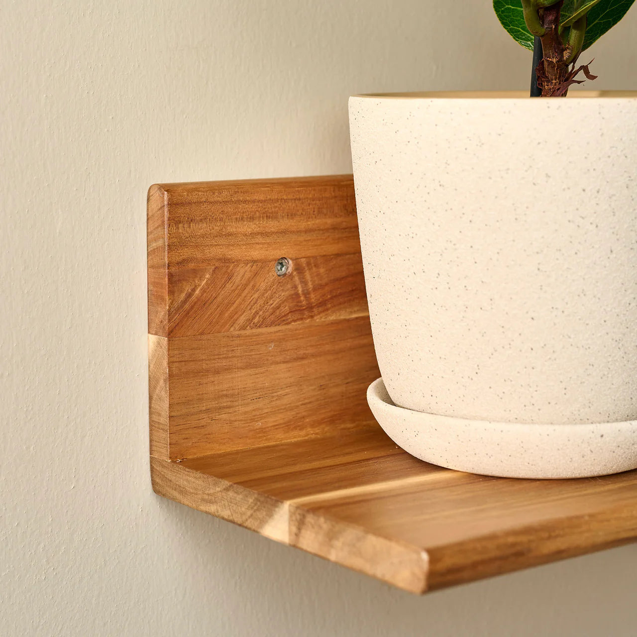 Auri Akazienholzregal