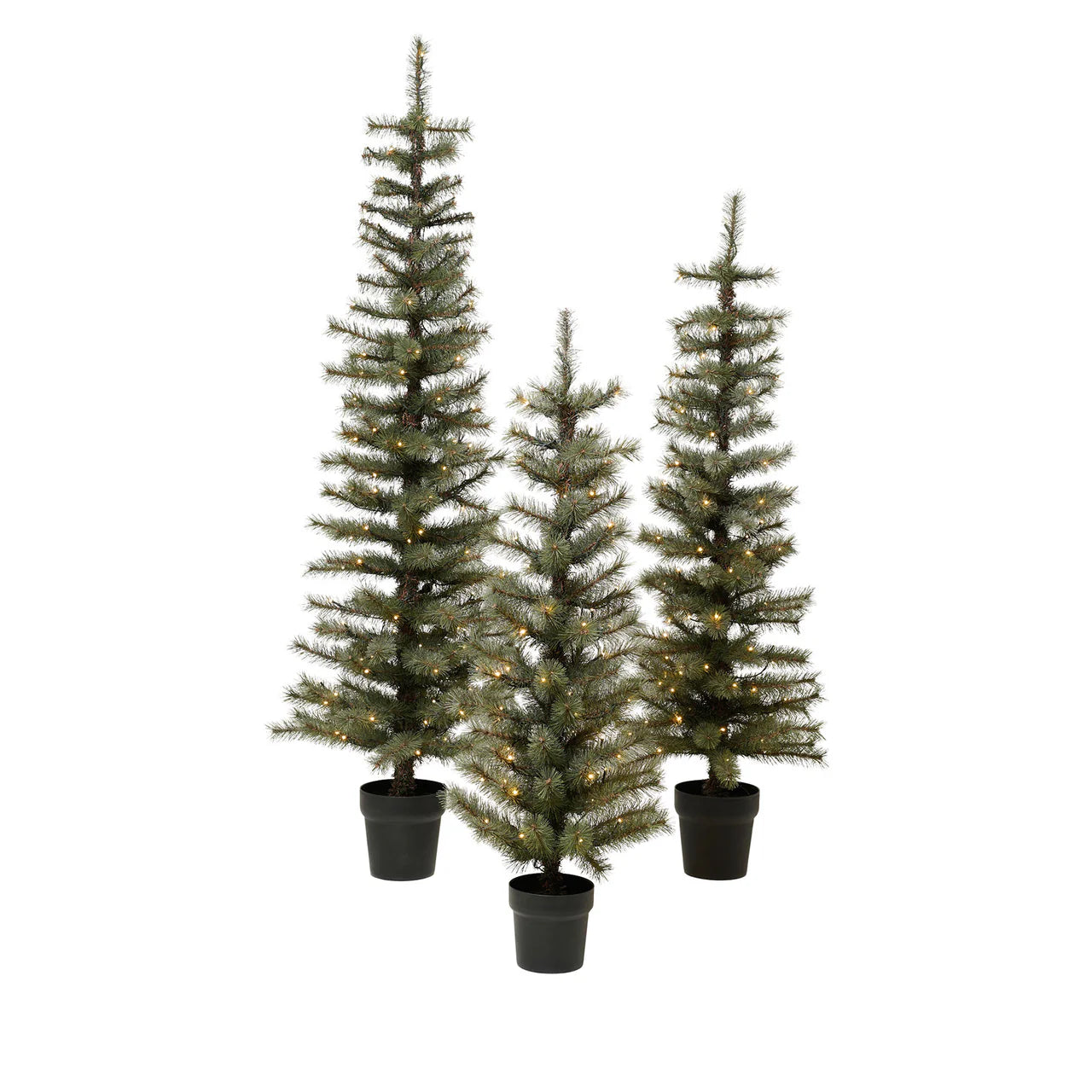 Merry Tannenbaum mit LED-Licht