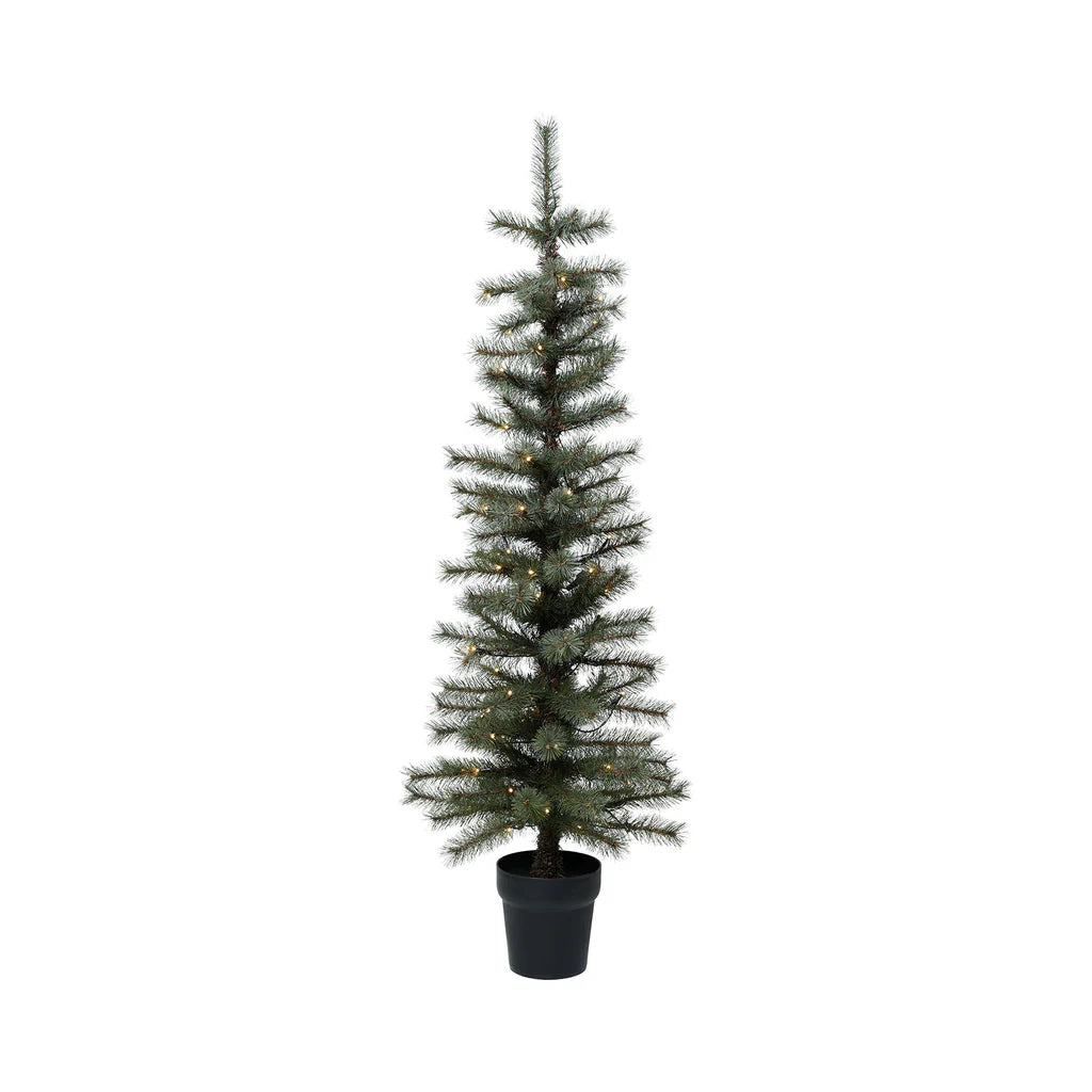 Merry Tannenbaum mit LED-Licht