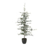 Yule Zedernbaum mit LED