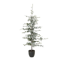  Yule Zedernbaum mit LED