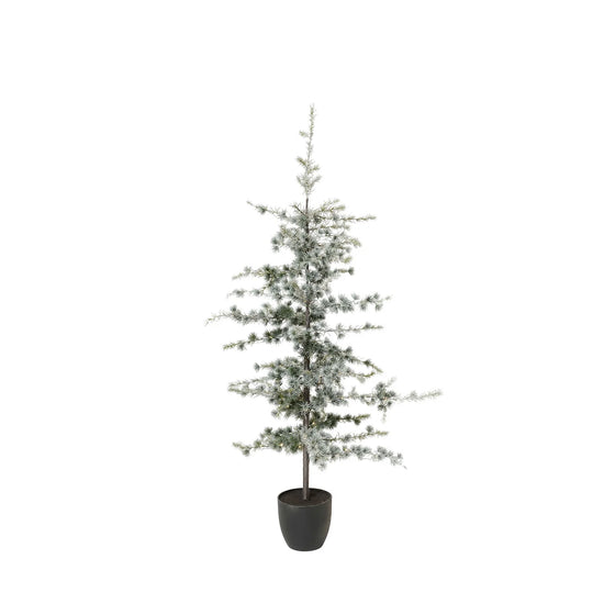 Yule Zedernbaum mit LED