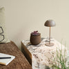 Carino LED Lamp