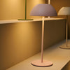 Carino LED Lamp