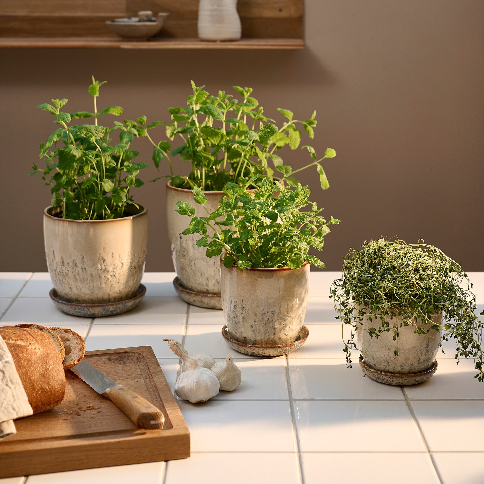 Pio II Blumentopf D12 cm