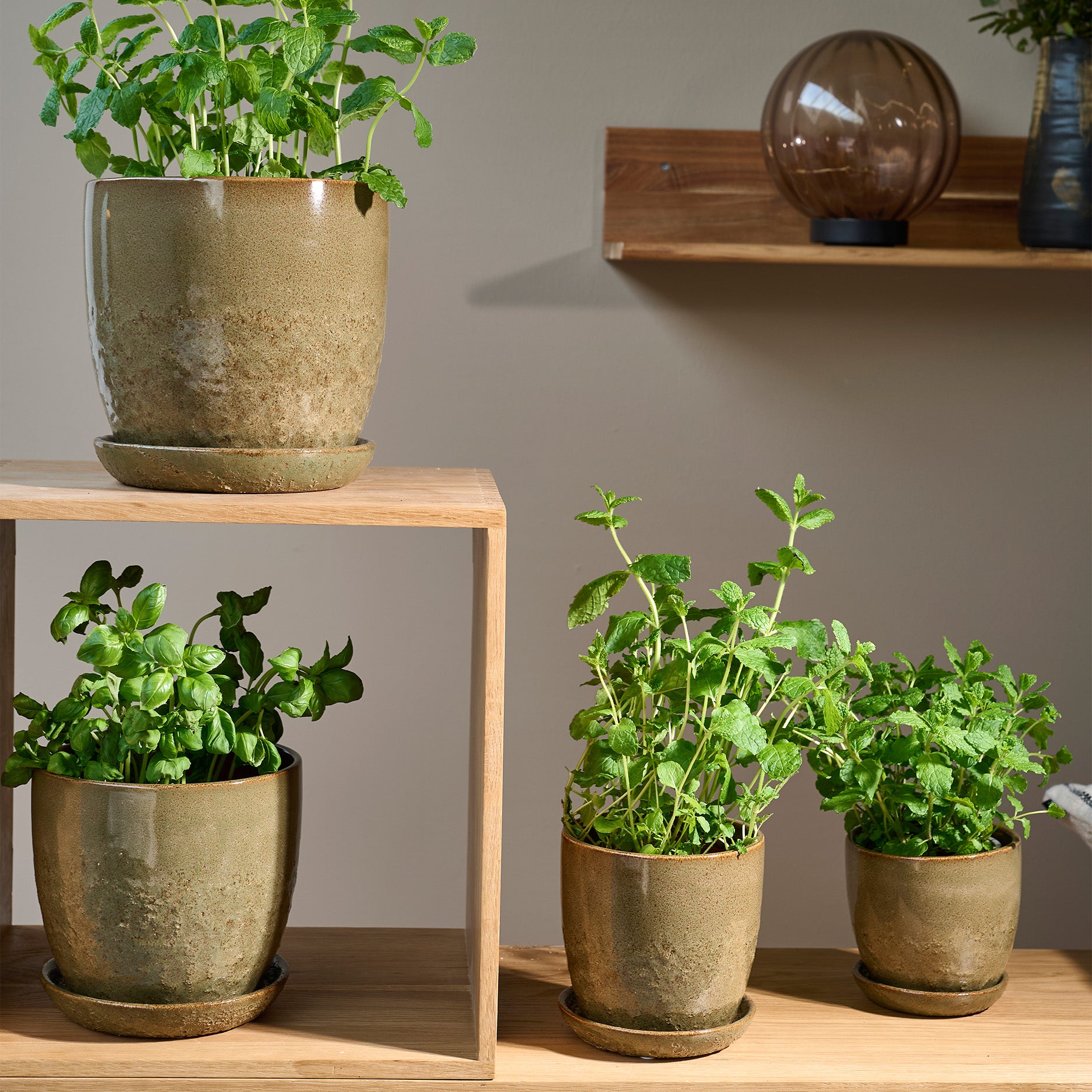 Pio II Blumentopf D12 cm