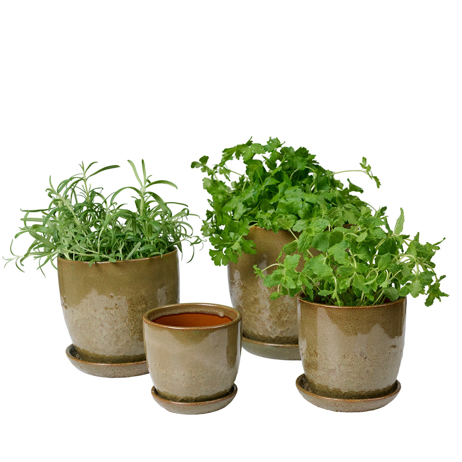 Pio II Blumentopf D12 cm