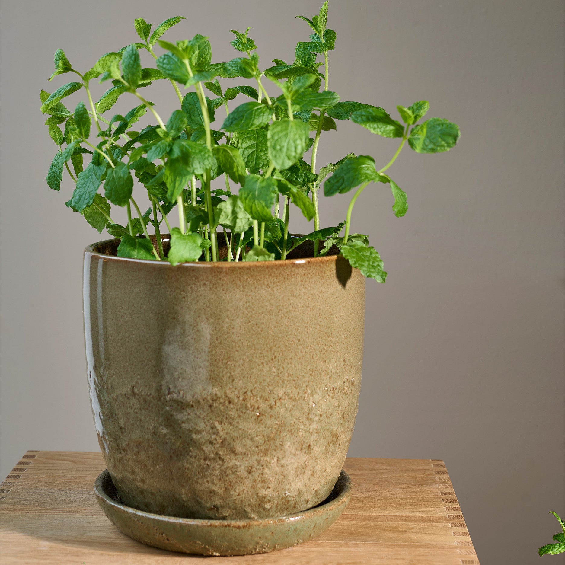 Pio II Blumentopf D20,5 cm