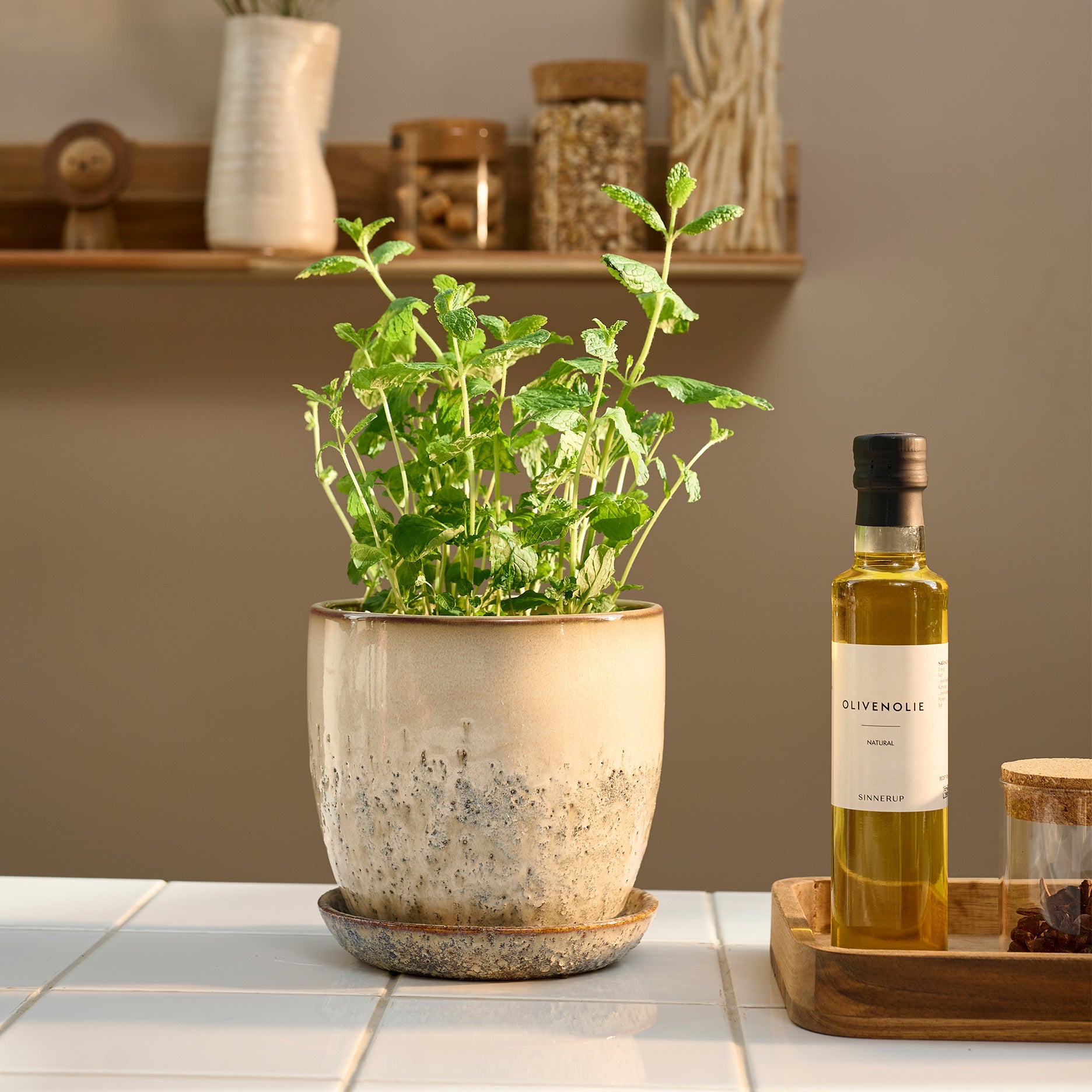 Pio II Blumentopf D17 cm