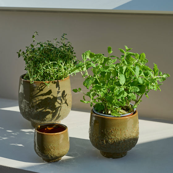 Pio Blumentopf