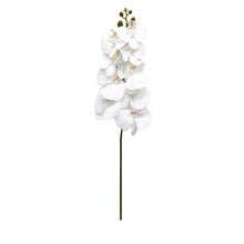  Künstliche Orchidee