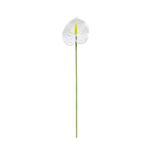  Künstliche Flamingoblume