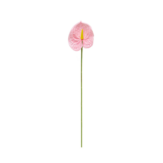 Künstliche Flamingoblume