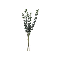  Künstlicher Eukalyptus