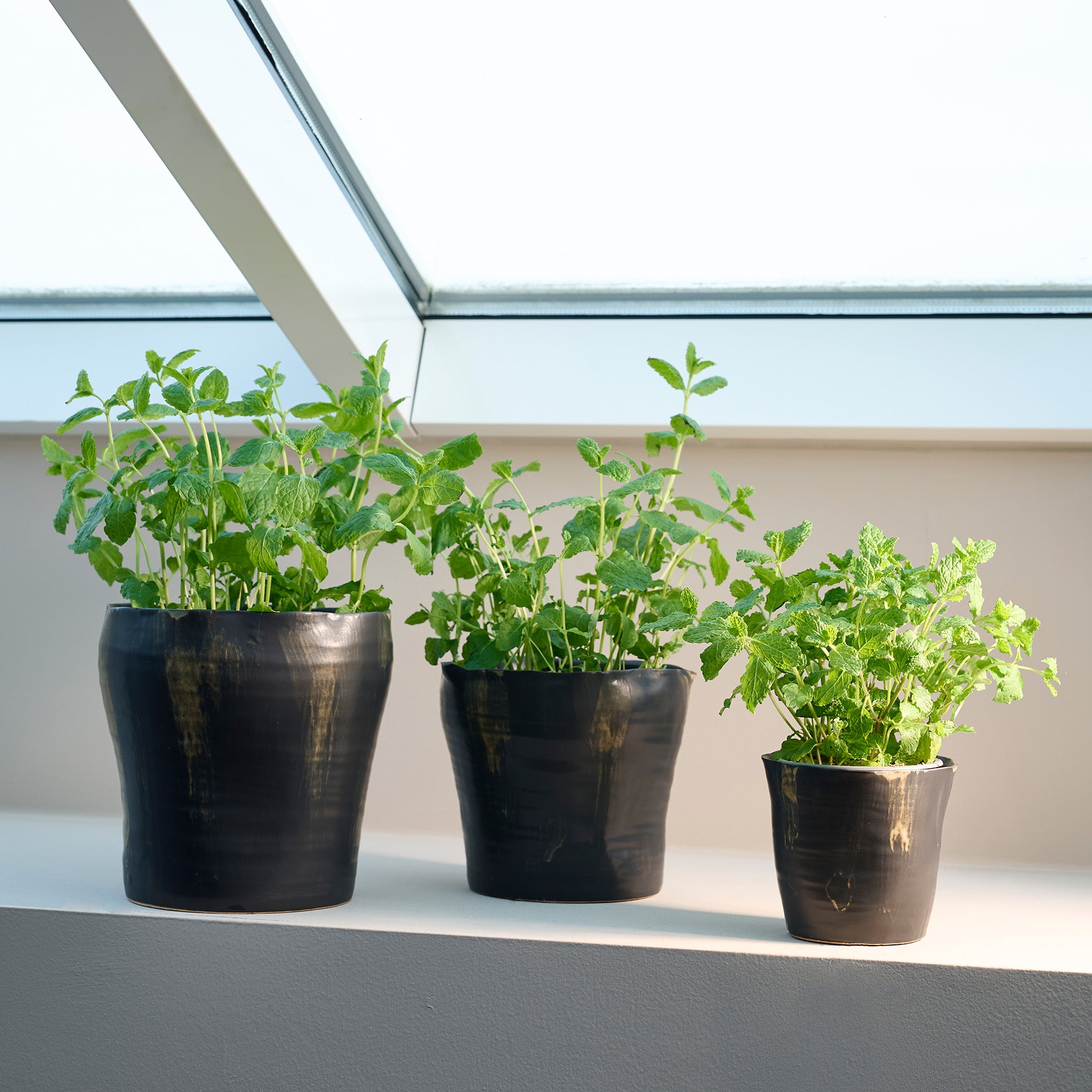 Sculpted Blumentopf D12,5 cm