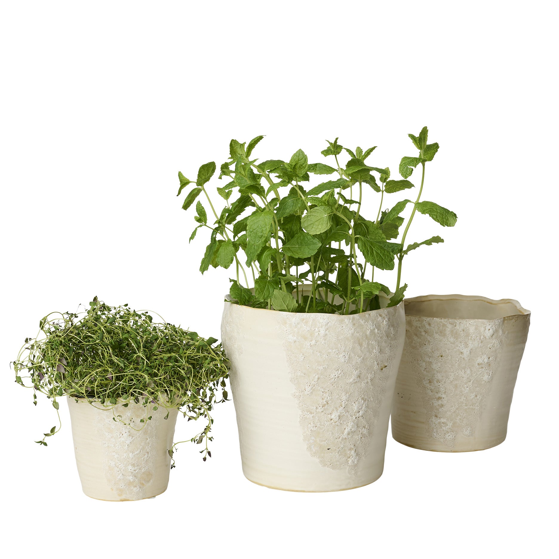 Sculpted Blumentopf D17 cm