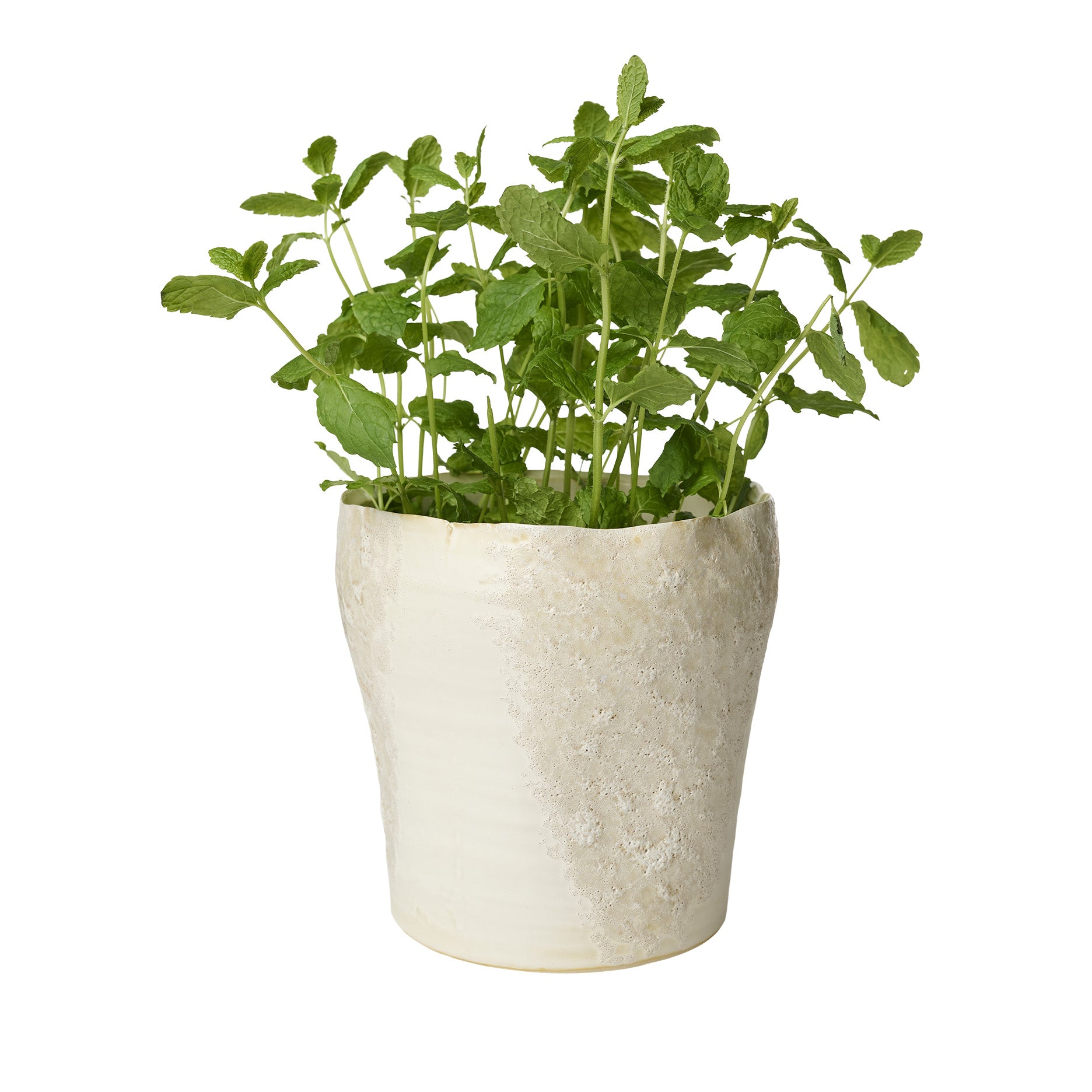 Sculpted Blumentopf D19 cm