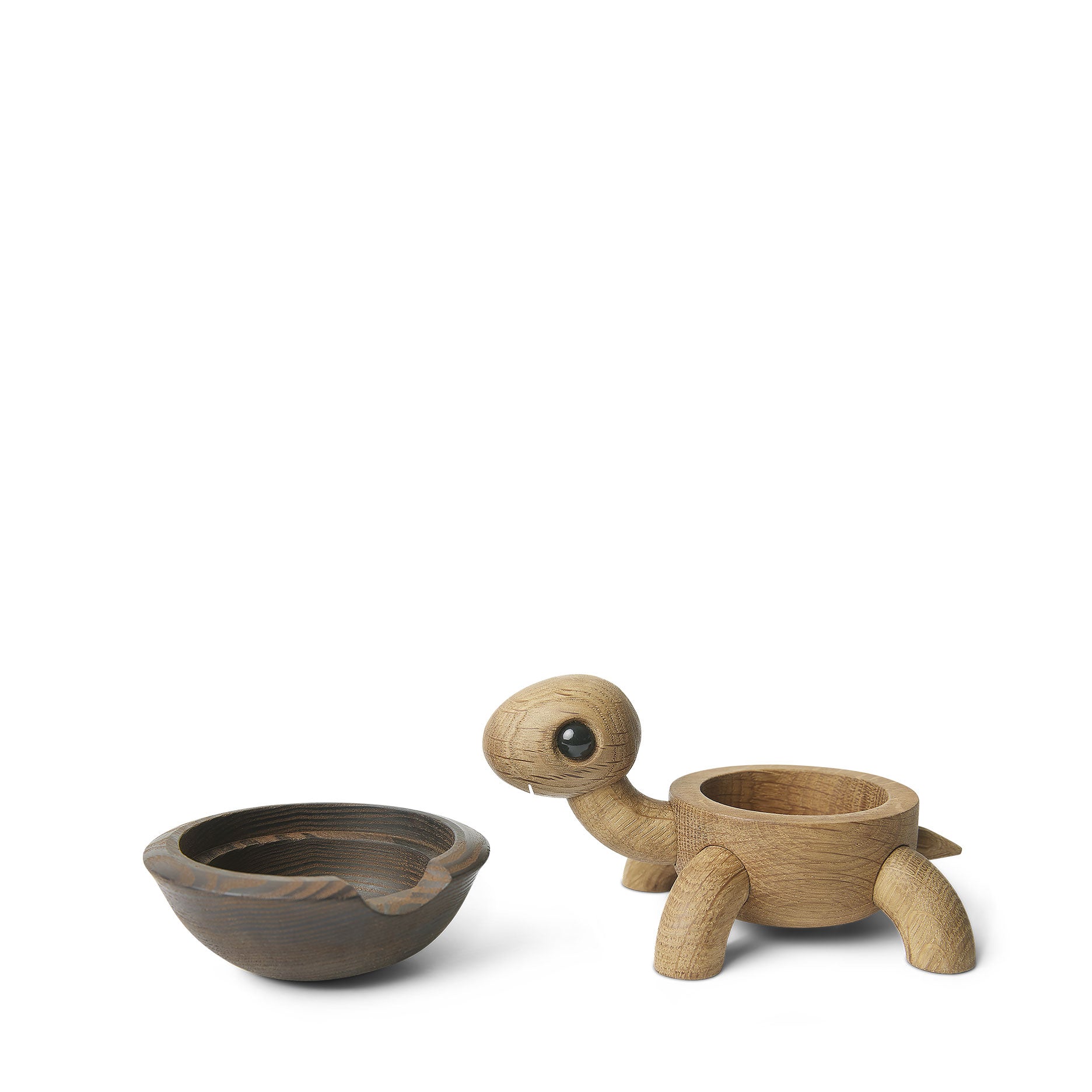 Speedy Schildkrötenbaby