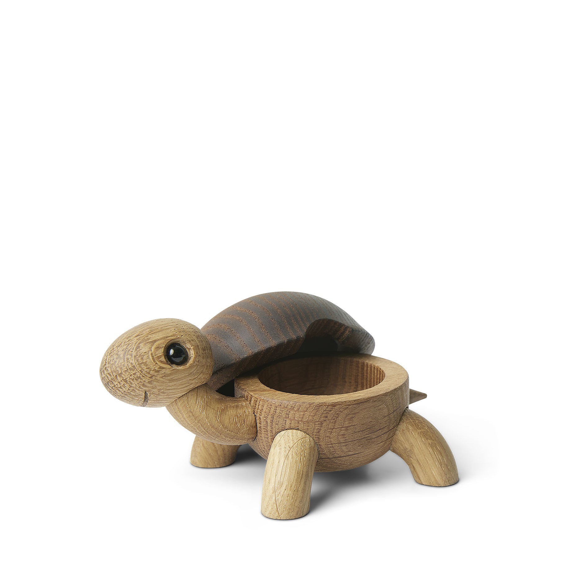 Speedy Schildkrötenbaby