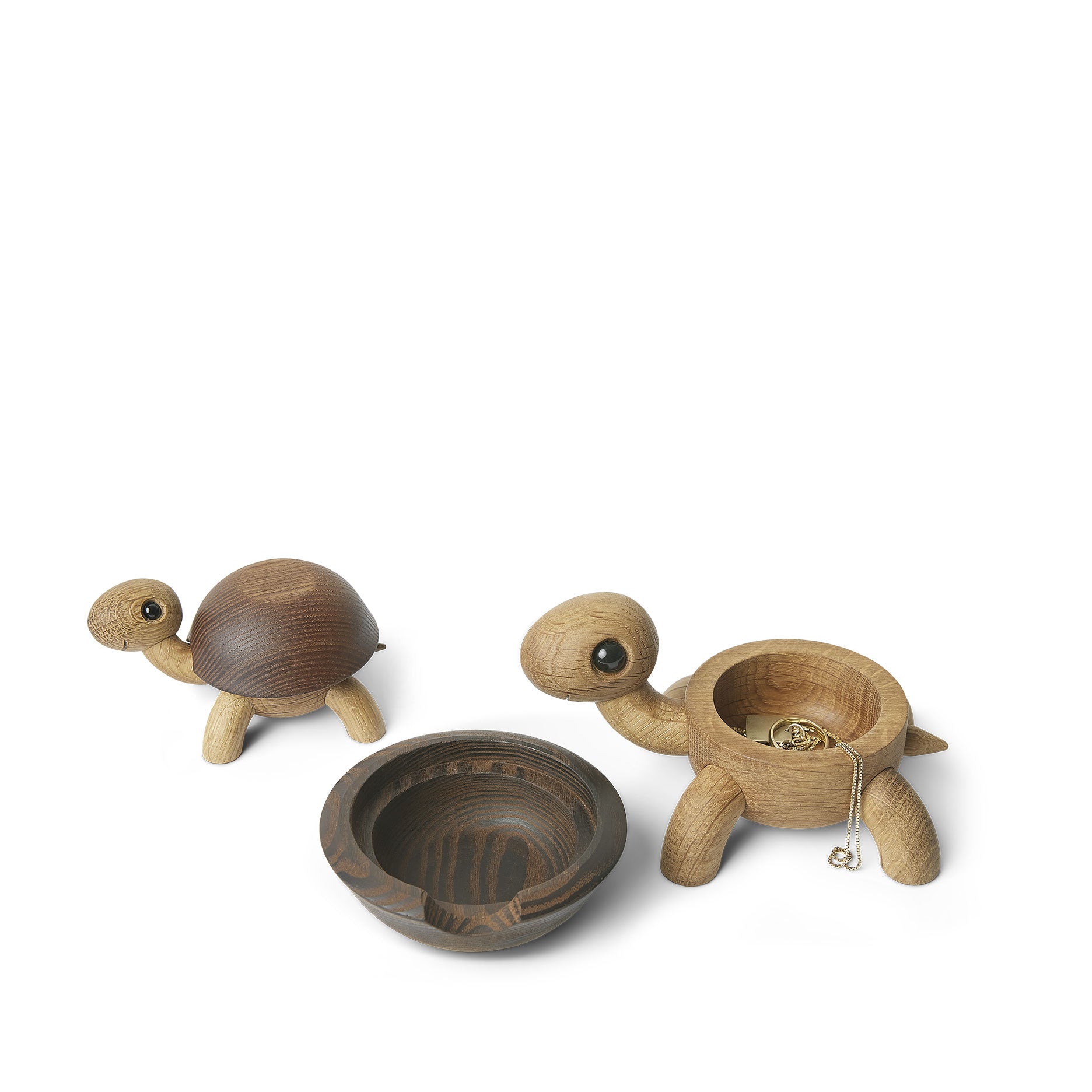 Speedy Schildkrötenbaby