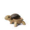 Slowy Schildkröte
