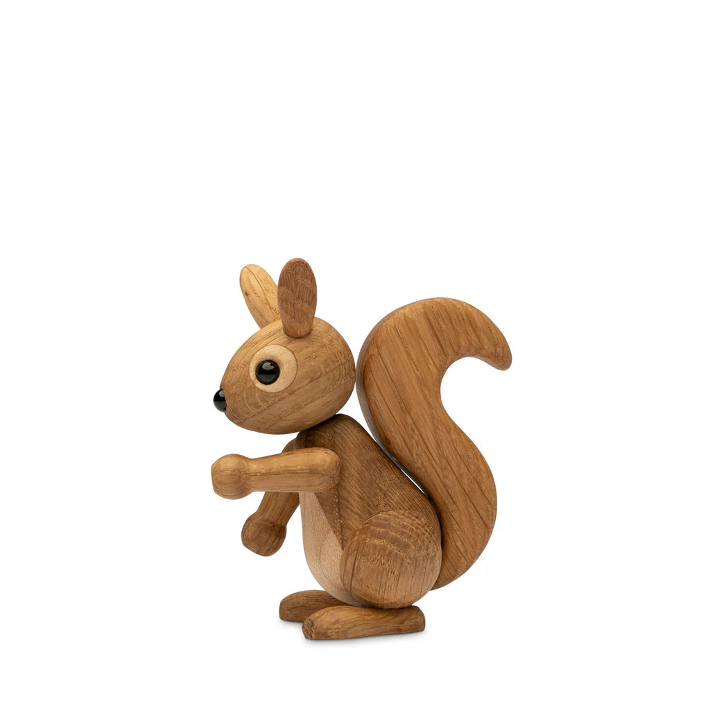 Peanut Eichhörnchenjunges