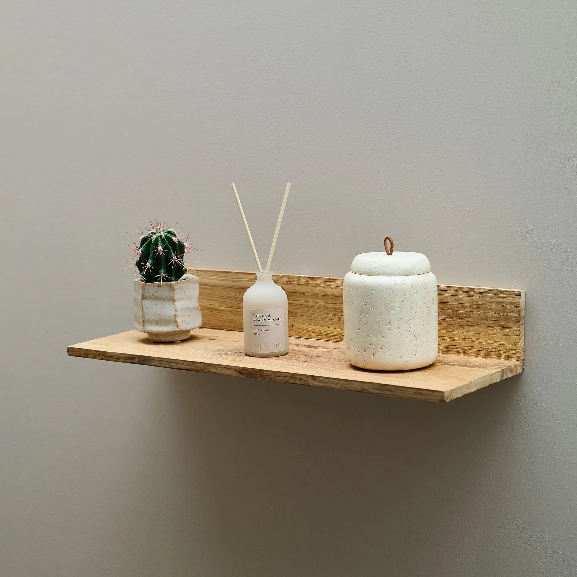 Anakin Regal Ulme L52