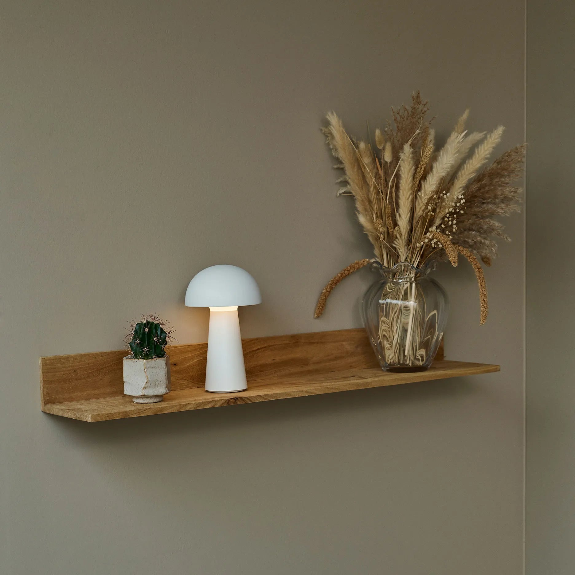 Anakin Regal Ulme L90