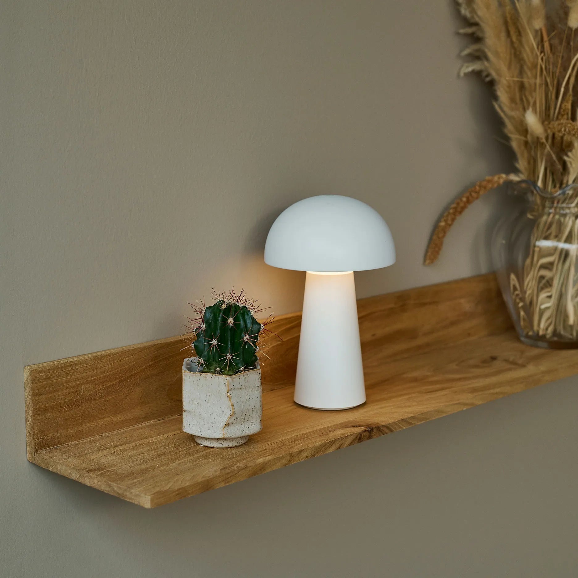 Anakin Regal Ulme L90