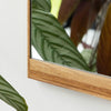 Wood Spiegel H90